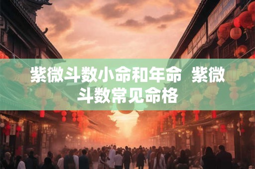 紫微斗数小命和年命  紫微斗数常见命格