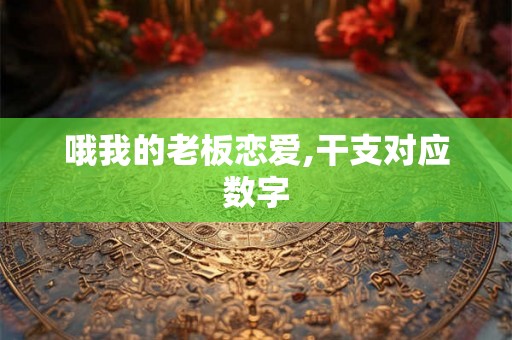 哦我的老板恋爱,干支对应数字