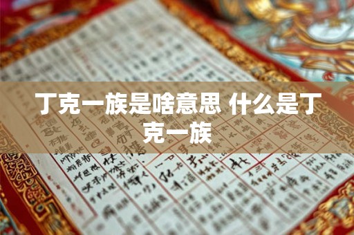 丁克一族是啥意思 什么是丁克一族 丁克一族是啥意思 什么是丁克一族