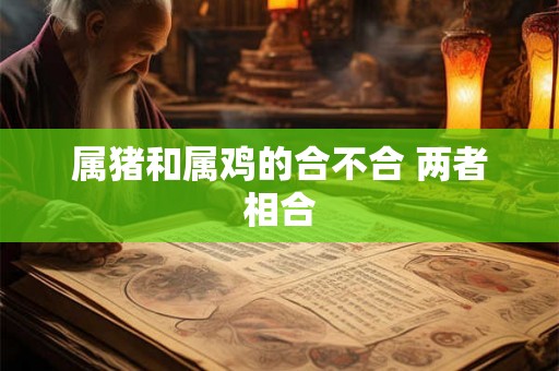 属猪和属鸡的合不合 两者相合