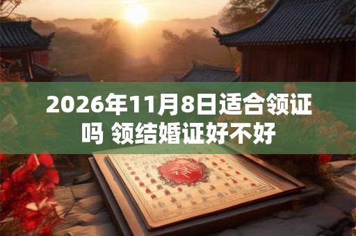 2026年11月8日适合领证吗 领结婚证好不好