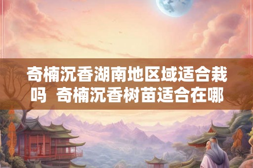 奇楠沉香湖南地区域适合栽吗 奇楠沉香树苗适合在哪里种植 奇楠沉香湖南地区域适合栽吗 奇楠沉香树苗适合在哪里种植
