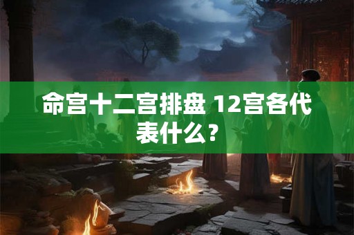 命宫十二宫排盘 12宫各代表什么？