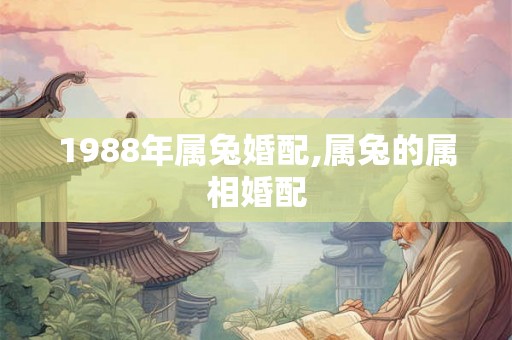 1988年属兔婚配,属兔的属相婚配