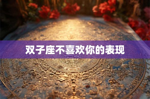 双子座不喜欢你的表现