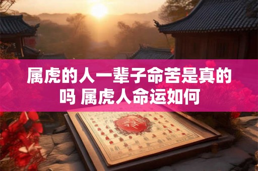 属虎的人一辈子命苦是真的吗 属虎人命运如何