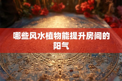 哪些风水植物能提升房间的阳气