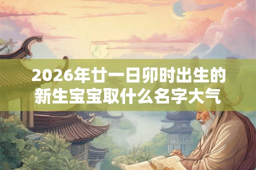2026年廿一日卯时出生的新生宝宝取什么名字大气