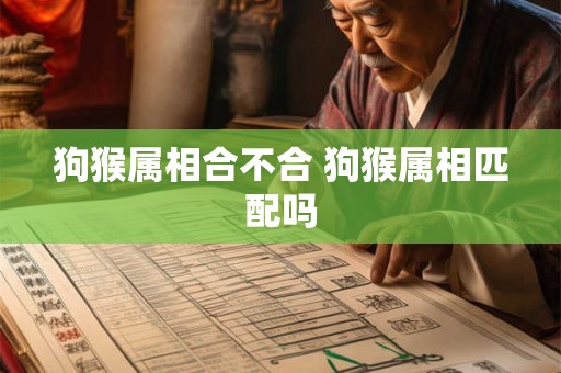 狗猴属相合不合 狗猴属相匹配吗