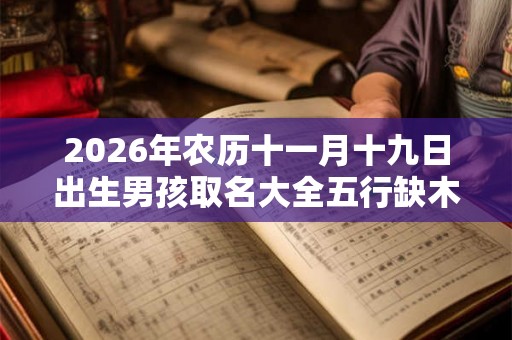 2026年农历十一月十九日出生男孩取名大全五行缺木名字
