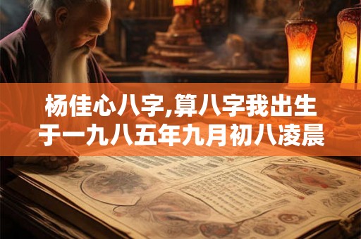 杨佳心八字,算八字我出生于一九八五年九月初八凌晨一点