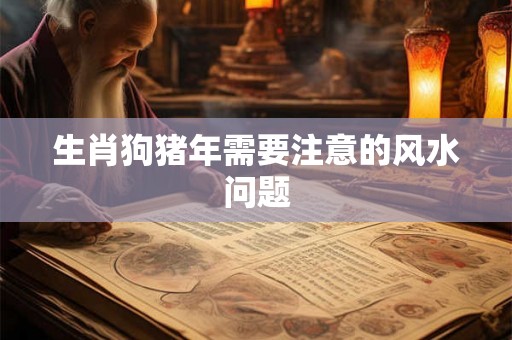 生肖狗猪年需要注意的风水问题 生肖狗猪年需要注意的风水问题