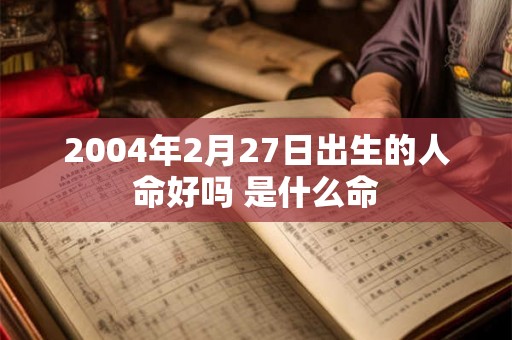 2004年2月27日出生的人命好吗 是什么命
