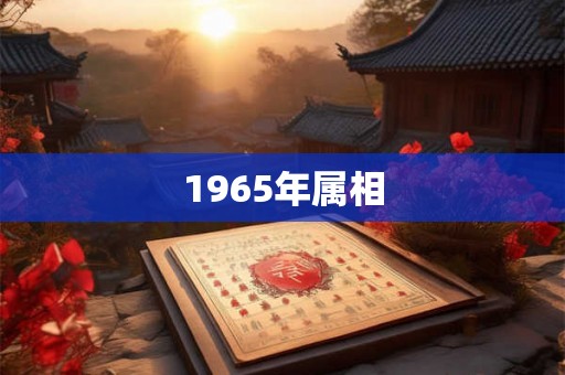 1965年属相