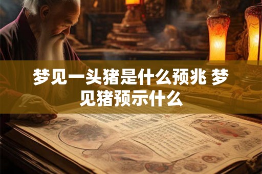 梦见一头猪是什么预兆 梦见猪预示什么