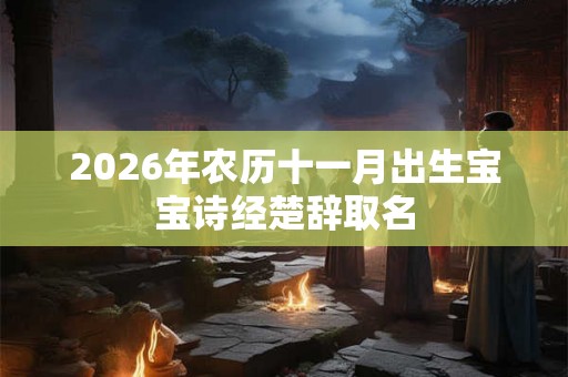 2026年农历十一月出生宝宝诗经楚辞取名