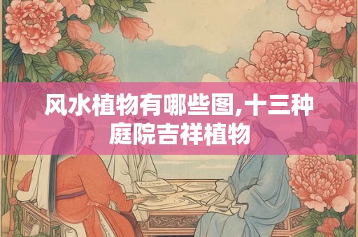 风水植物有哪些图,十三种庭院吉祥植物
