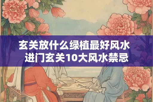 玄关放什么绿植最好风水 进门玄关10大风水禁忌 玄关放什么绿植最好风水 进门玄关10大风水禁忌