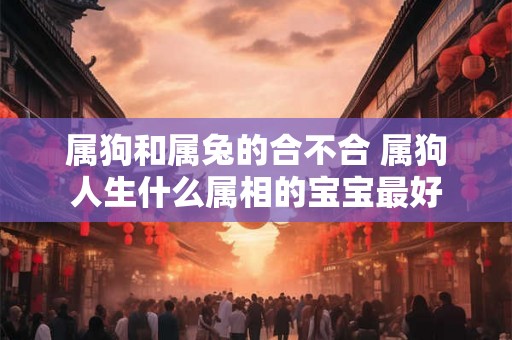 属狗和属兔的合不合 属狗人生什么属相的宝宝最好