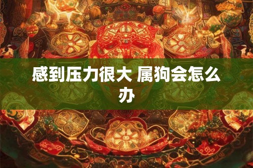感到压力很大 属狗会怎么办