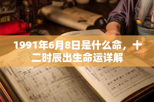1991年6月8日是什么命，十二时辰出生命运详解
