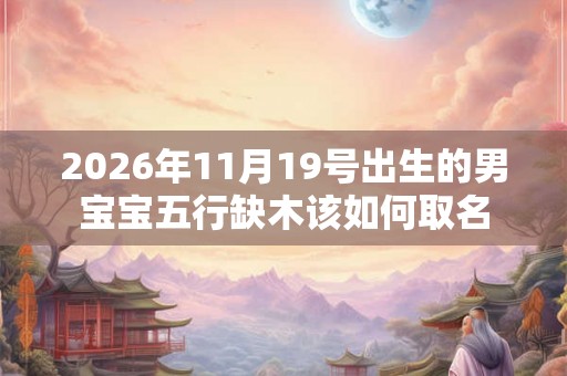2026年11月19号出生的男宝宝五行缺木该如何取名