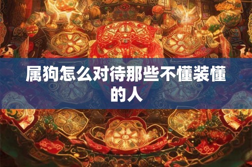 属狗怎么对待那些不懂装懂的人
