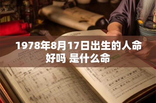 1978年8月17日出生的人命好吗 是什么命
