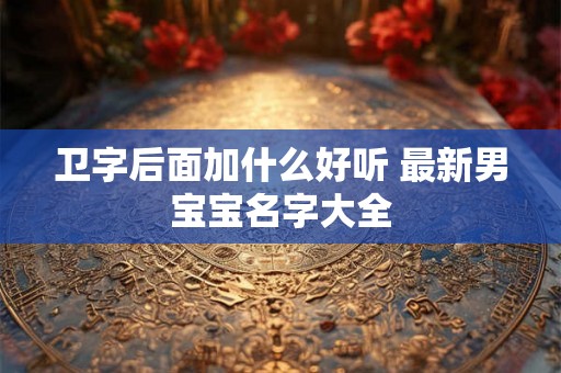 卫字后面加什么好听 最新男宝宝名字大全 卫字后面加什么好听 最新男宝宝名字大全