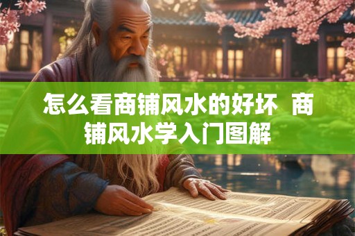 怎么看商铺风水的好坏  商铺风水学入门图解