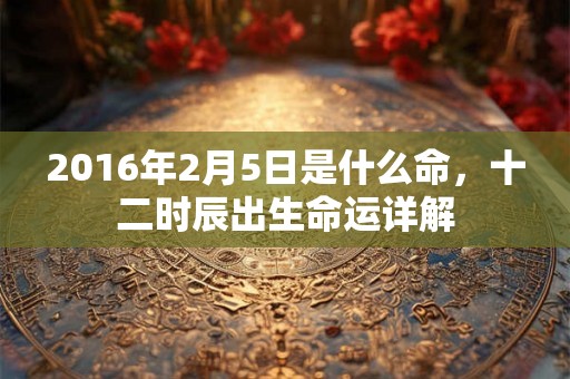 2016年2月5日是什么命，十二时辰出生命运详解