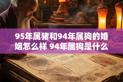 95年属猪和94年属狗的婚姻怎么样 94年属狗是什么命