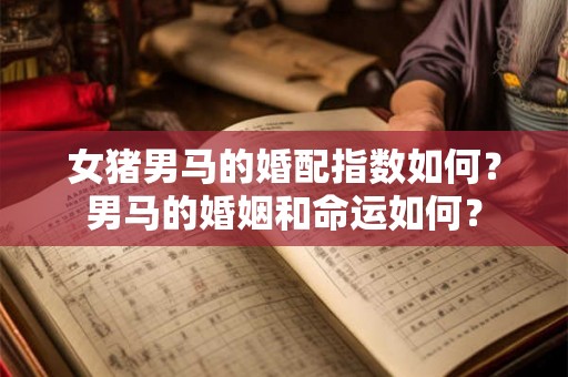 女猪男马的婚配指数如何?男马的婚姻和命运如何? 女猪男马的婚配指数如何?男马的婚姻和命运如何?