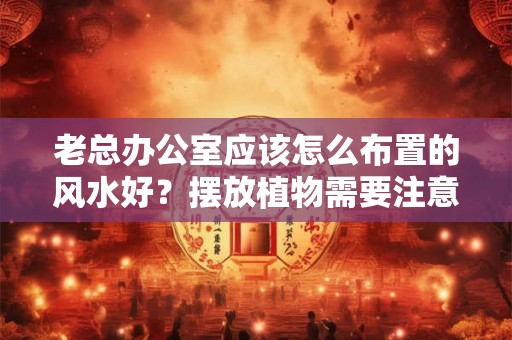 老总办公室应该怎么布置的风水好？摆放植物需要注意什么吗？