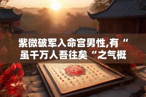 紫微破军入命宫男性,有“虽千万人吾往矣“之气概