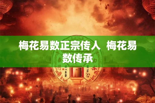 梅花易数正宗传人  梅花易数传承