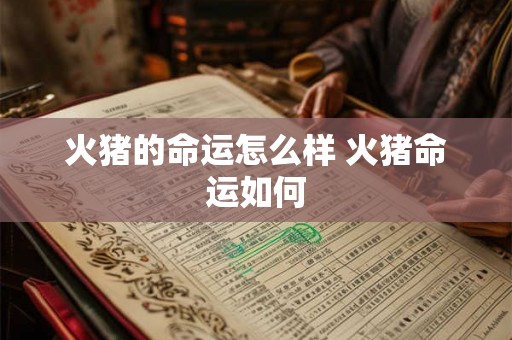 火猪的命运怎么样 火猪命运如何