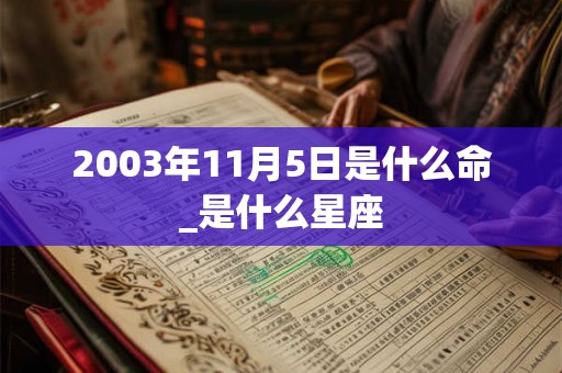 2003年11月5日是什么命_是什么星座 2003年11月5日是什么命_是什么星座