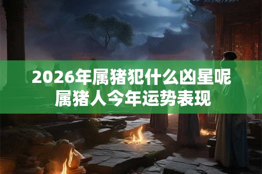 2026年属猪犯什么凶星呢 属猪人今年运势表现