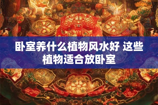 卧室养什么植物风水好 这些植物适合放卧室 卧室养什么植物风水好 这些植物适合放卧室