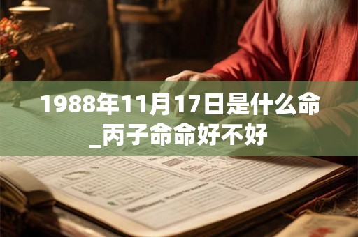 1988年11月17日是什么命_丙子命命好不好