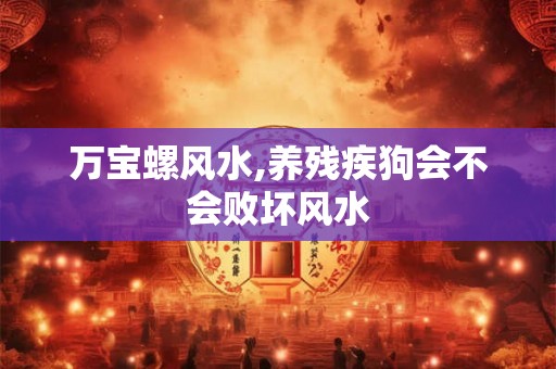 万宝螺风水,养残疾狗会不会败坏风水 万宝螺风水,养残疾狗会不会败坏风水
