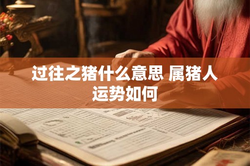 过往之猪什么意思 属猪人运势如何