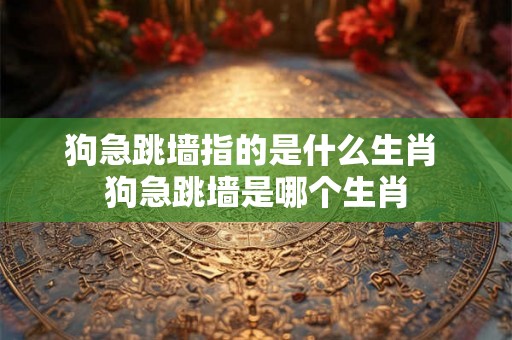 狗急跳墙指的是什么生肖 狗急跳墙是哪个生肖 狗急跳墙指的是什么生肖 狗急跳墙是哪个生肖