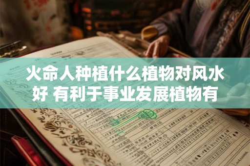 火命人种植什么植物对风水好 有利于事业发展植物有哪些
