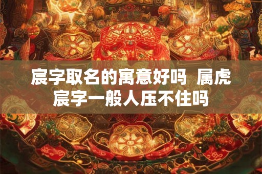 宸字取名的寓意好吗 属虎宸字一般人压不住吗 宸字取名的寓意好吗 属虎宸字一般人压不住吗
