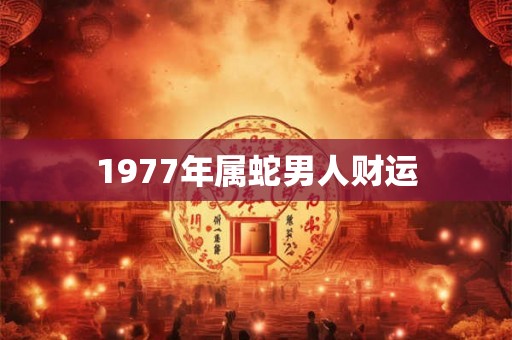 1977年属蛇男人财运