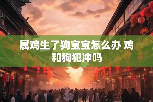 属鸡生了狗宝宝怎么办 鸡和狗犯冲吗