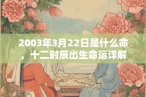 2003年3月22日是什么命,十二时辰出生命运详解 2003年3月22日是什么命,十二时辰出生命运详解