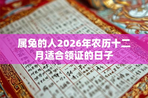 属兔的人2026年农历十二月适合领证的日子 属兔的人2026年农历十二月适合领证的日子